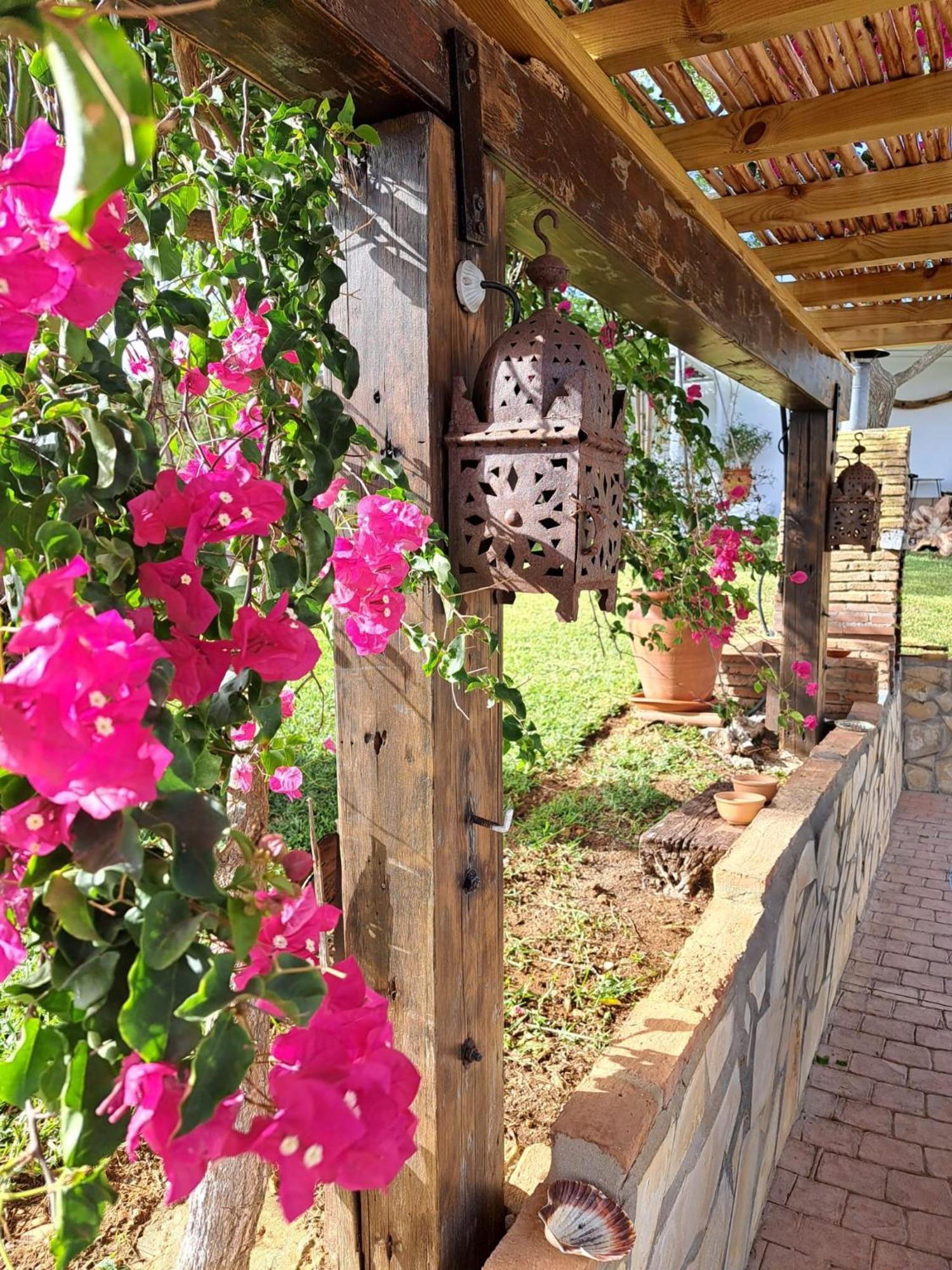 La Luciérnaga Casa rural