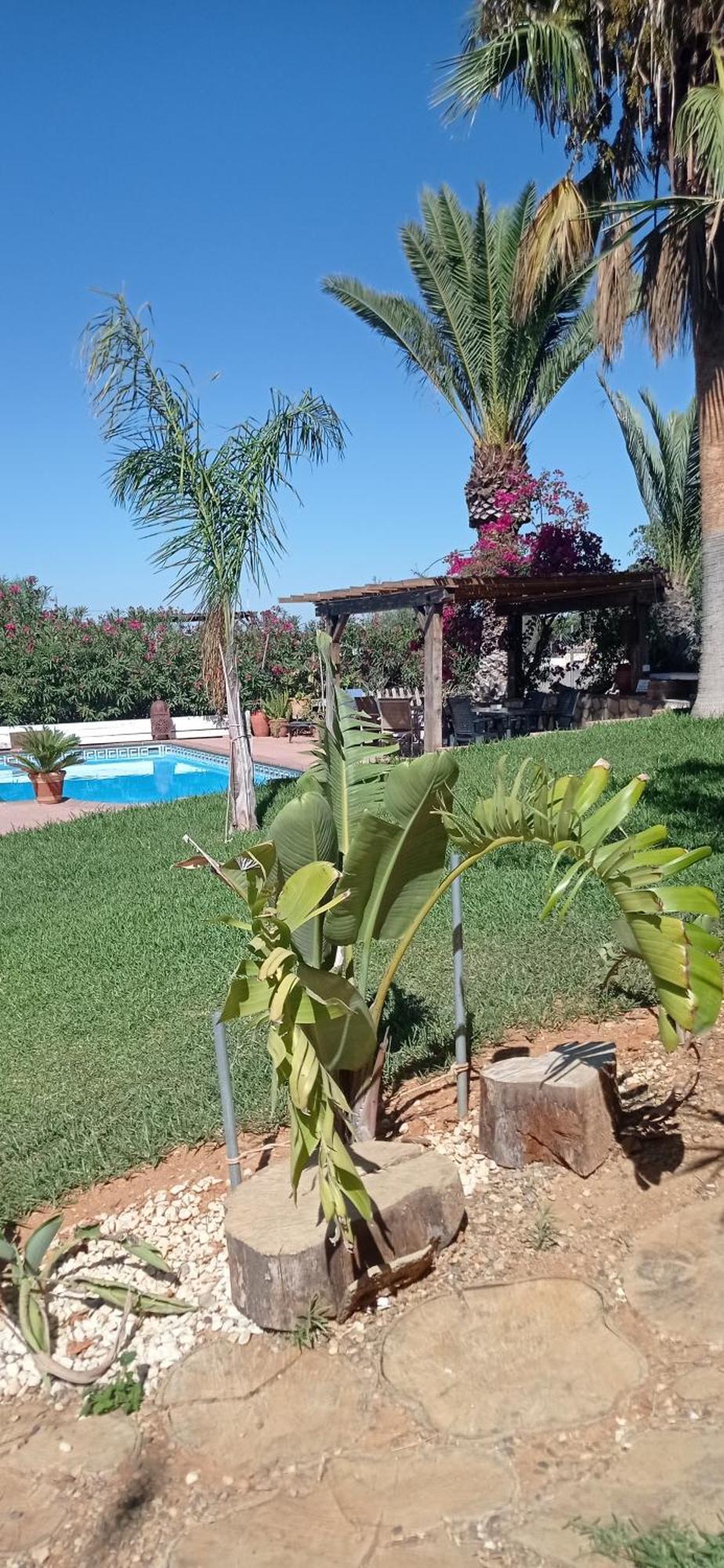La Luciérnaga Casa rural Chiclana de la Frontera
